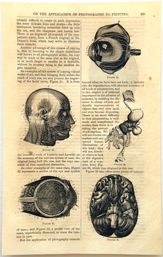 1856 human body - 1856, anatomy